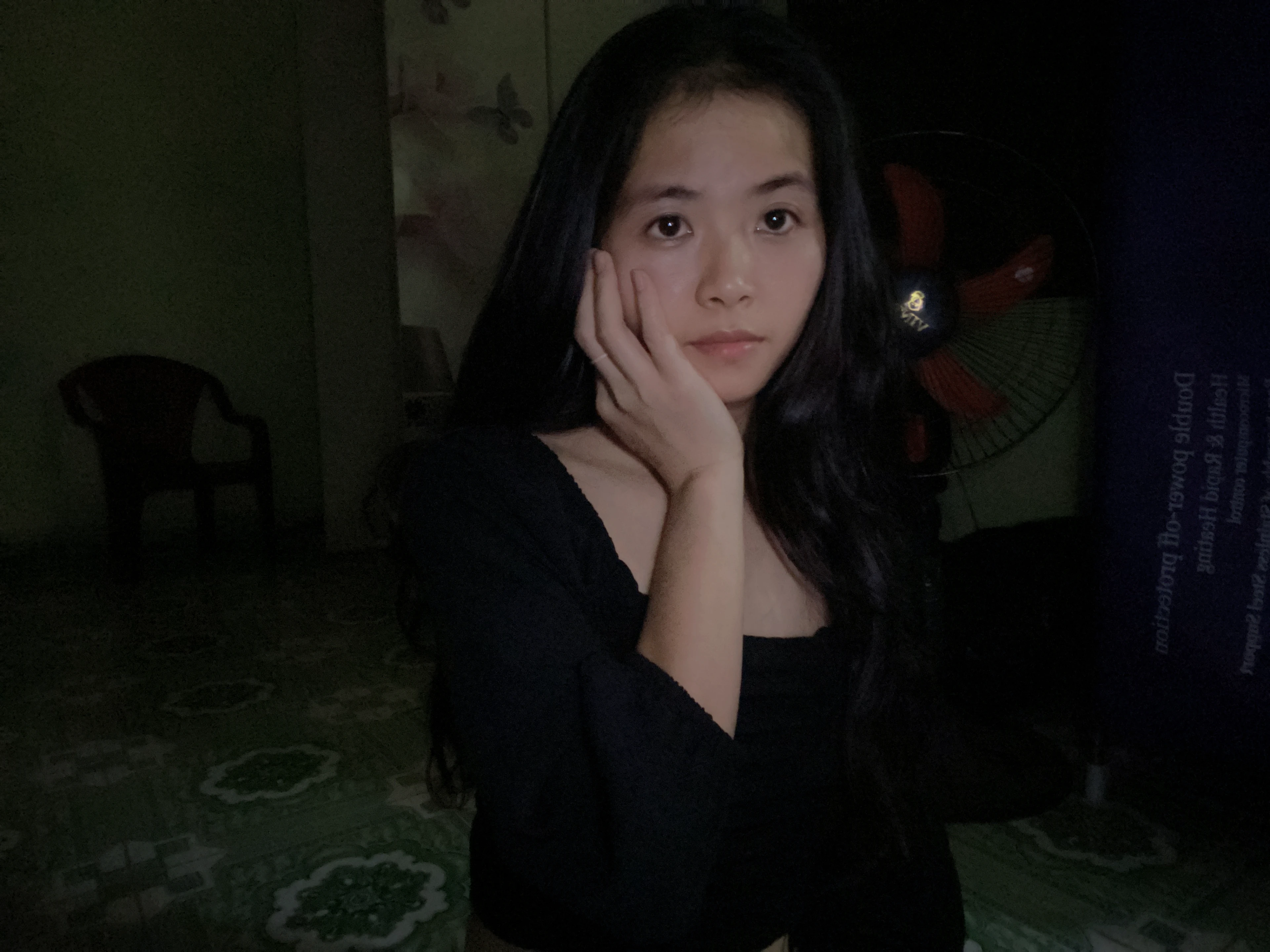 Ngô thị huệ linh